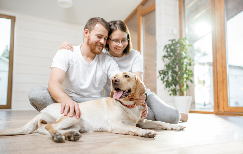 2 картинка ( на выбор).jpg